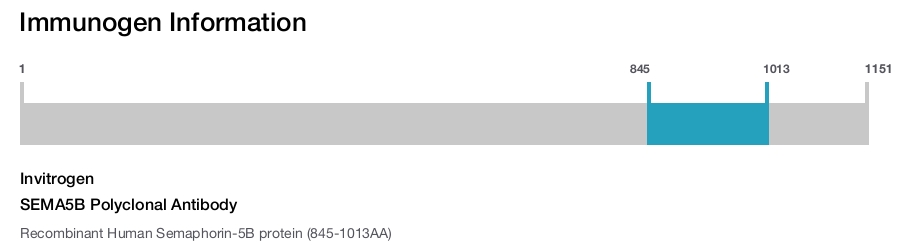 SEMA5B Polyclonal Antibody