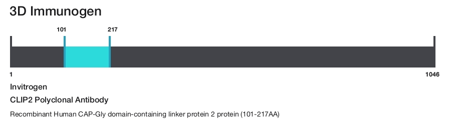 CLIP2 Polyclonal Antibody