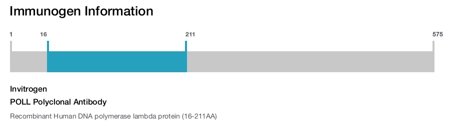 POLL Polyclonal Antibody