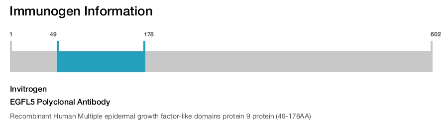 EGFL5 Polyclonal Antibody