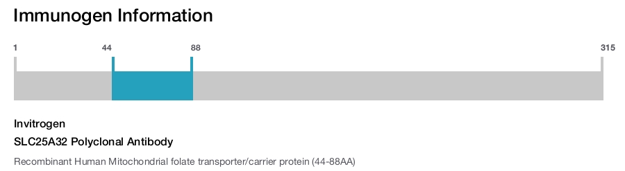 SLC25A32 Polyclonal Antibody