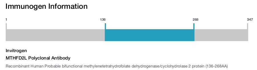 MTHFD2L Polyclonal Antibody