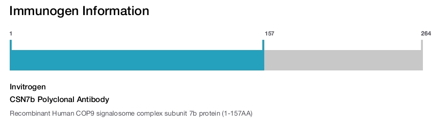 CSN7b Polyclonal Antibody