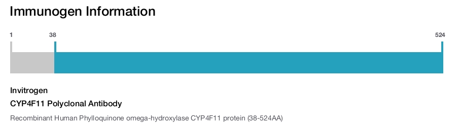 CYP4F11 Polyclonal Antibody