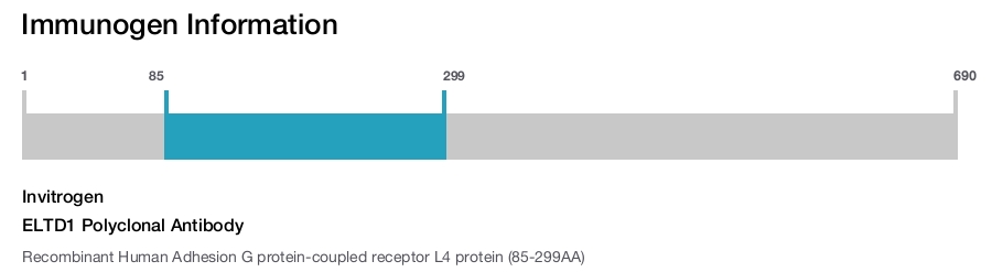 ELTD1 Polyclonal Antibody