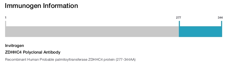 ZDHHC4 Polyclonal Antibody