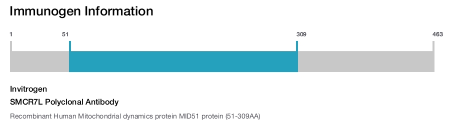 SMCR7L Polyclonal Antibody