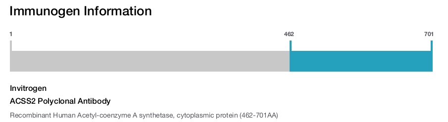 ACSS2 Polyclonal Antibody