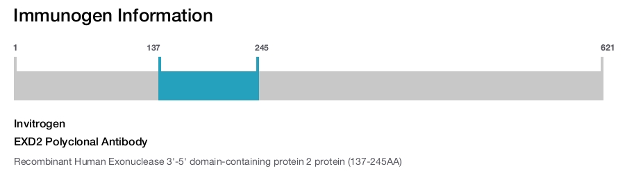 EXD2 Polyclonal Antibody