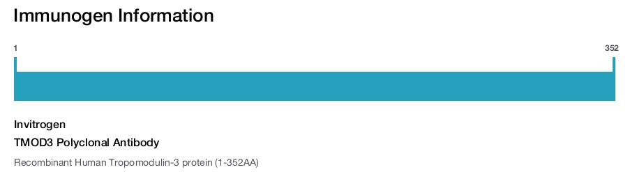 TMOD3 Polyclonal Antibody