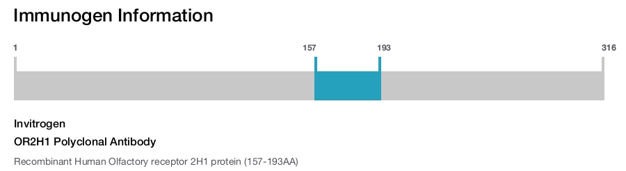 OR2H1 Polyclonal Antibody