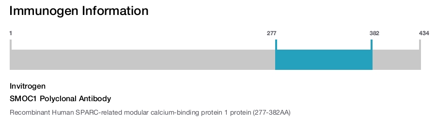 SMOC1 Polyclonal Antibody