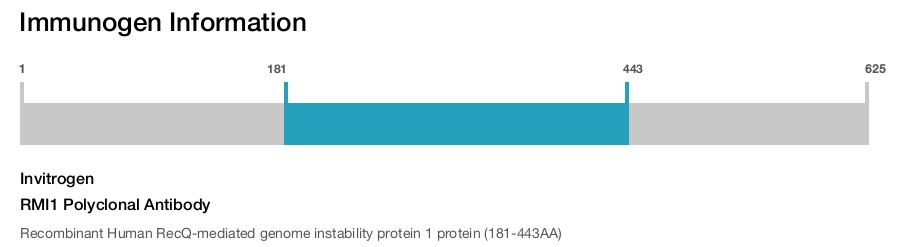 RMI1 Polyclonal Antibody