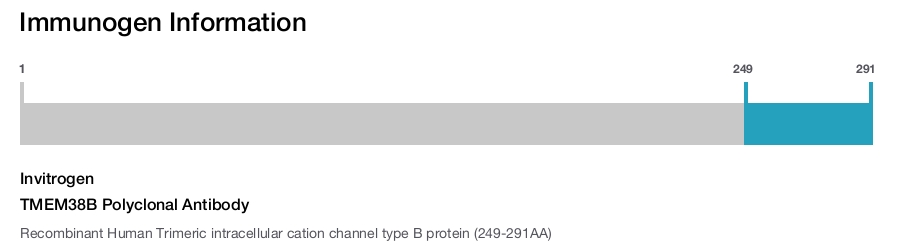 TMEM38B Polyclonal Antibody