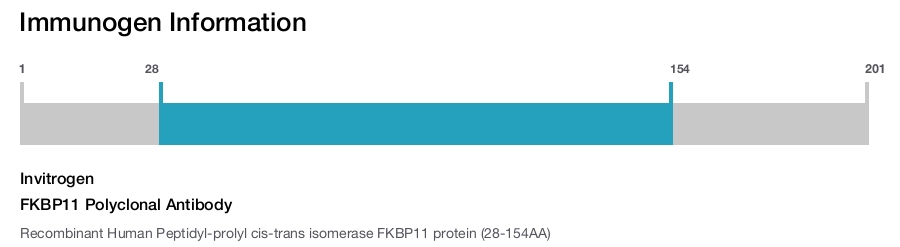 FKBP11 Polyclonal Antibody