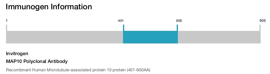 MAP10 Polyclonal Antibody