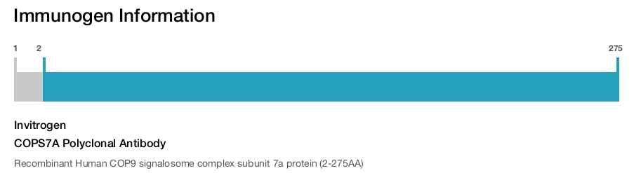 COPS7A Polyclonal Antibody