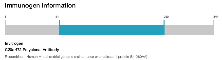 C20orf72 Polyclonal Antibody