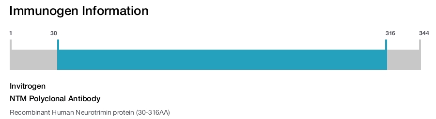 NTM Polyclonal Antibody