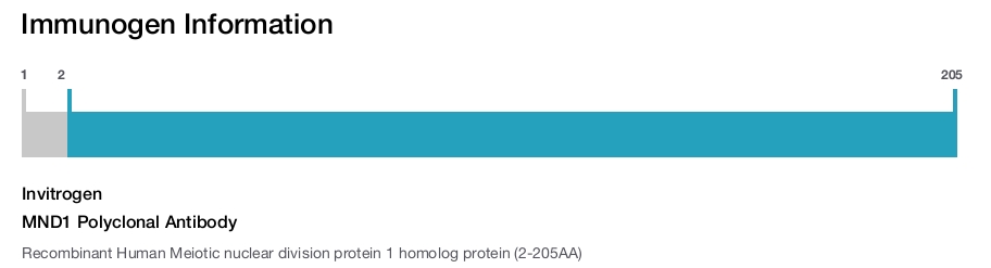 MND1 Polyclonal Antibody