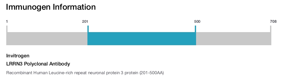 LRRN3 Polyclonal Antibody