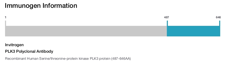 PLK3 Polyclonal Antibody