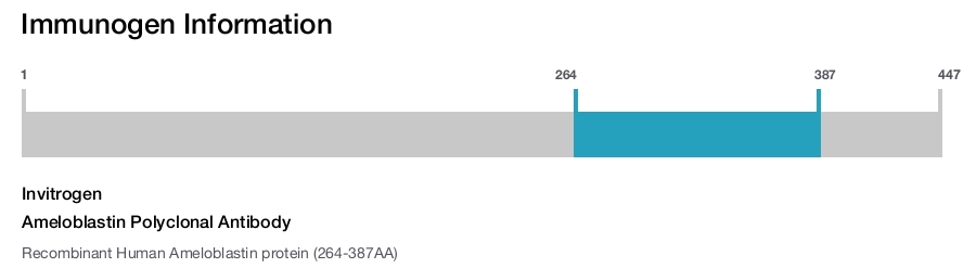 Ameloblastin Polyclonal Antibody
