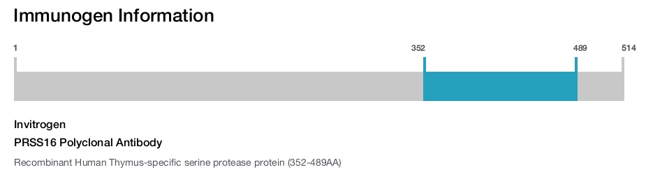 PRSS16 Polyclonal Antibody