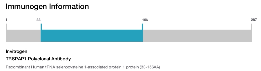 TRSPAP1 Polyclonal Antibody
