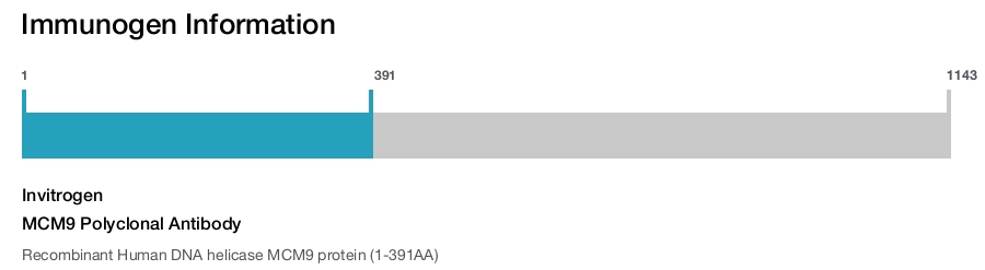 MCM9 Polyclonal Antibody