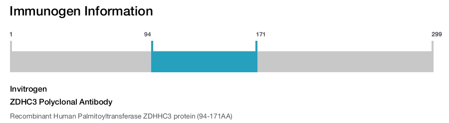 ZDHC3 Polyclonal Antibody