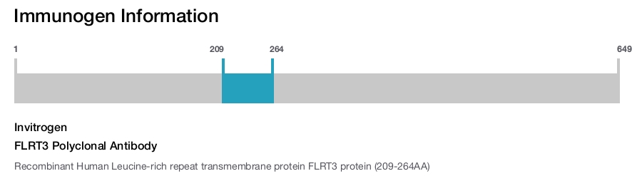 FLRT3 Polyclonal Antibody