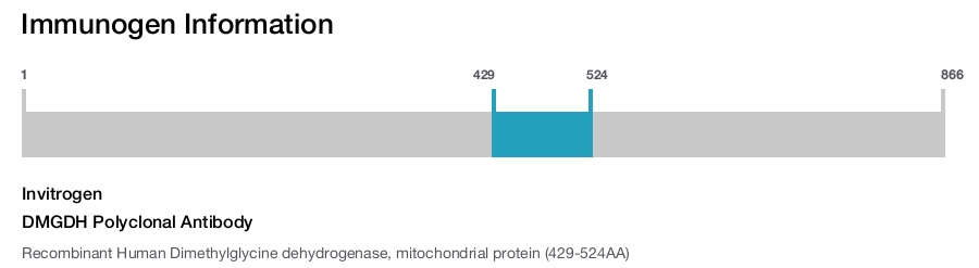 DMGDH Polyclonal Antibody
