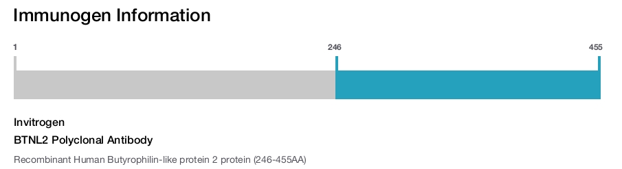 BTNL2 Polyclonal Antibody