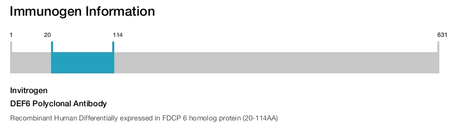 DEF6 Polyclonal Antibody