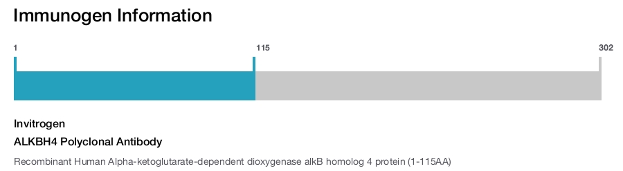 ALKBH4 Polyclonal Antibody