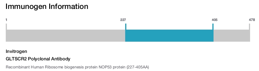 GLTSCR2 Polyclonal Antibody