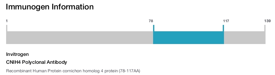 CNIH4 Polyclonal Antibody