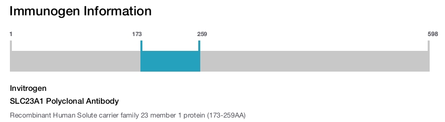 SLC23A1 Polyclonal Antibody