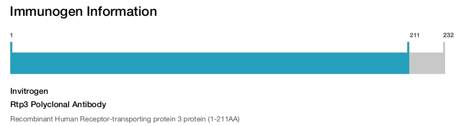 Rtp3 Polyclonal Antibody