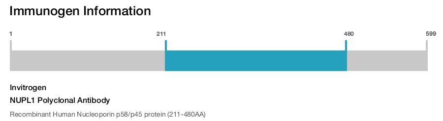 NUPL1 Polyclonal Antibody