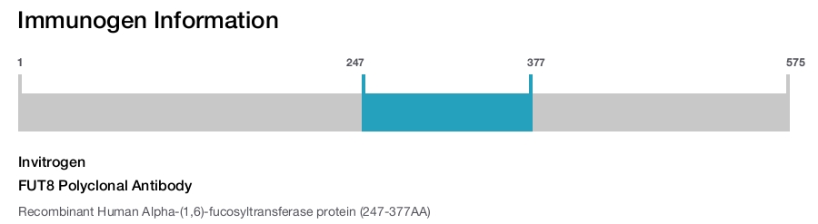FUT8 Polyclonal Antibody