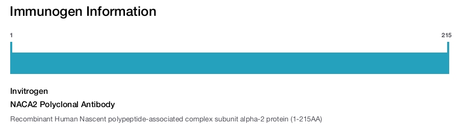 NACA2 Polyclonal Antibody