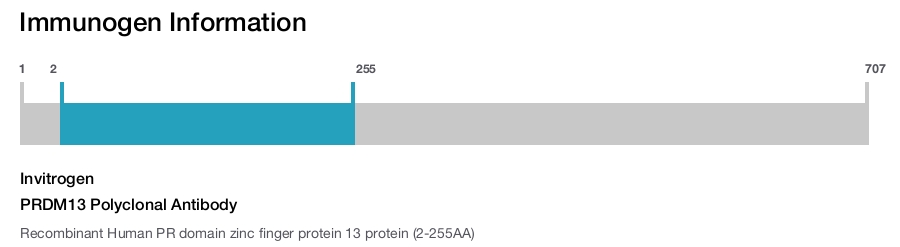 PRDM13 Polyclonal Antibody