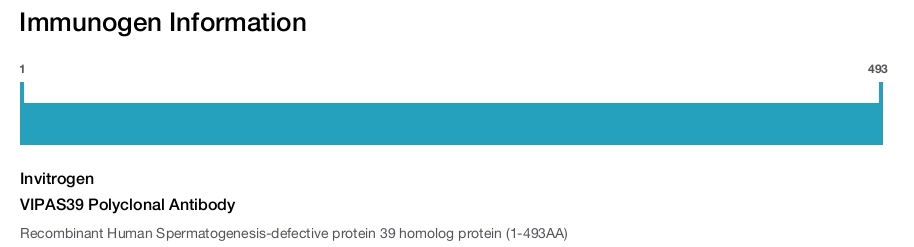 VIPAS39 Polyclonal Antibody