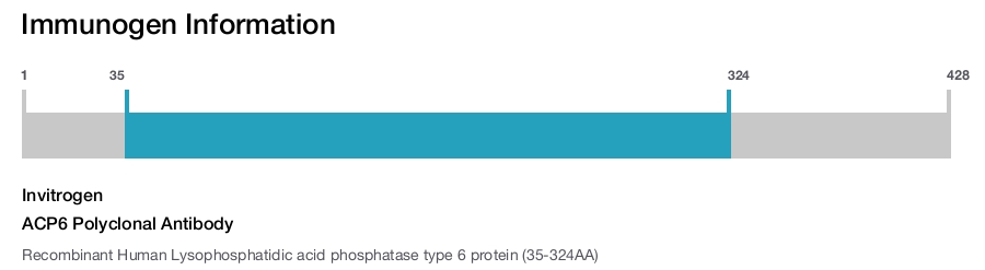 ACP6 Polyclonal Antibody