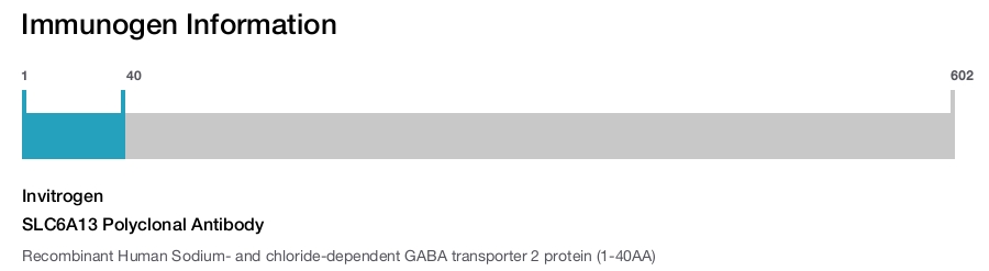 SLC6A13 Polyclonal Antibody