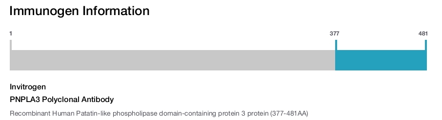 PNPLA3 Polyclonal Antibody