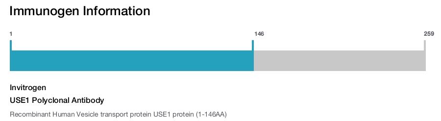 USE1 Polyclonal Antibody