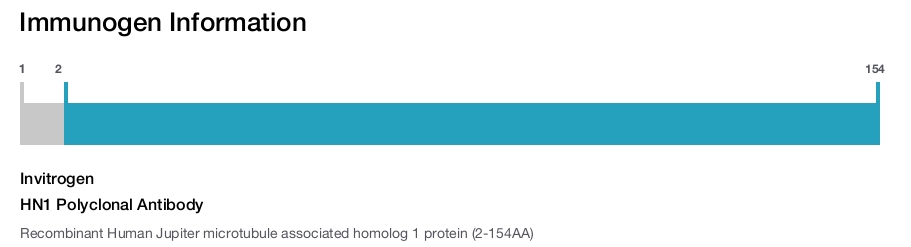 HN1 Polyclonal Antibody